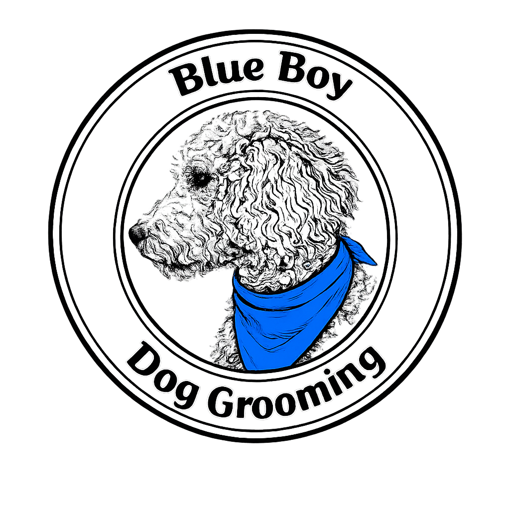 blueboydoggrooming.com